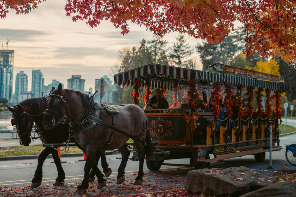 Horse ride best sale stanley park